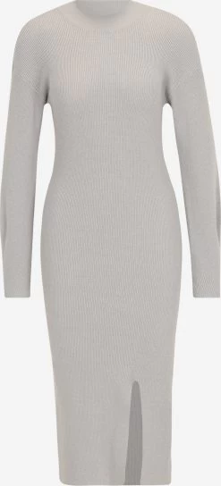 Gebreide Jurken Gebreide Jurk ELANA Dames Lichtgrijs