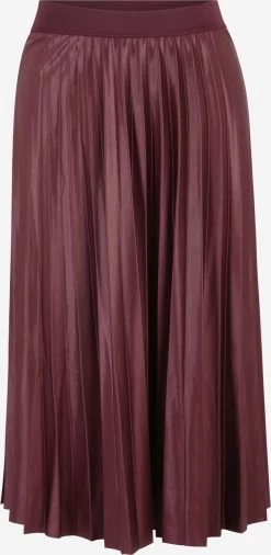 Midi Rokken Rok Nitban Dames Wijnrood